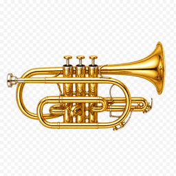 Cornet & flugelhorn